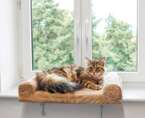 KERBL legowisko łóżko leżanka dla kota psa na parapet okna na okno 56cm