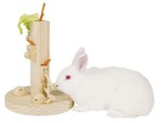 KERBL zabawka drewniana gra edukacyjna na przysmaki paśnik królika gryzoni