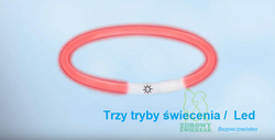 TRIXIE Obroża psa LED świecąca migająca do przycięcia USB orange 65cm L-XL