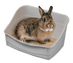 FERPLAST Kuweta toaleta dla królika kawii świnki fretki prostokątna 37cm
