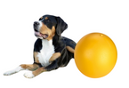 KERBL GIGANT Duża mocna twarda piłka wytrzymała zabawka dla psa 30 cm