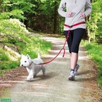 Pas + smycz dla psa do biegania, joggingu z psem M