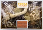 TERRA NATURA dekoracja terrarium pustynnego suszone rośliny gotowy zestaw