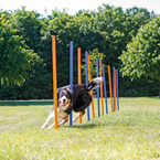 TRIXIE Activity Tor przeszkód tyczki szkolenie slalomu agility zabawka psa