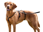 TRIXIE Stay Panic Szelki szkoleniowe psa do chodzenia przy nodze 50-75 M-L