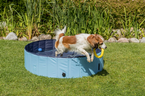 Trixie Basen dla psa mocny super wytrzymały ogrodowy na taras 120 x 30 cm