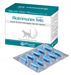 Bioimmunex Felis Biowet Kapsułki wspomagające odporność kota kotów 40 szt.