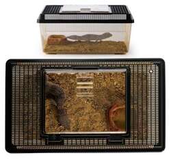 EXO TERRA Terrarium płaskie plastikowe faunarium box płazów gadów 36x22x16