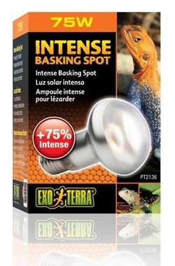 EXO TERRA Żarówka Intense Basking Spot 75W grzewcza punktowa UVA terrarium