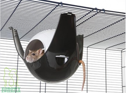 SAVIC Sputnik XL domek plastikowy szczura gryzoni czarno-szary zawieszany