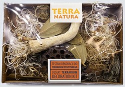 TERRA NATURA dekoracja terrarium pustynnego suszone rośliny gotowy zestaw 