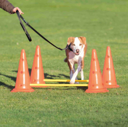 TRIXIE Activity Tor przeszkód pachołki slalom szkolenie zabawka psa agility