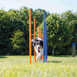 TRIXIE Activity Tor przeszkód tyczki szkolenie slalomu agility zabawka psa