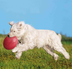 TRIXIE Dysk Frisbee zabawka psa kauczukowa latająca pływa nie tonie 15cm