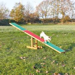 TRIXIE Fun Agility Huśtawka równoważnia kładka treningowa szkolenie psa 3m