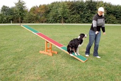 TRIXIE Fun Agility Huśtawka równoważnia kładka treningowa szkolenie psa 3m