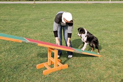 TRIXIE Fun Agility Huśtawka równoważnia kładka treningowa szkolenie psa 3m