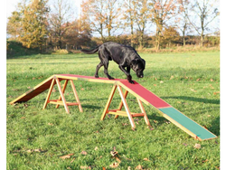 TRIXIE Fun Agility Kładka zręcznościowa treningowa trening szkolenie psa