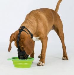 TRIXIE Kaganiec silikonowy psa fizjologiczny pozwala pić jeść ziajać L-XL