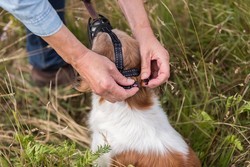 TRIXIE Kaganiec silikonowy psa fizjologiczny pozwala pić jeść ziajać L-XL