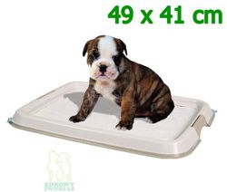 TRIXIE Kuweta toaleta dla psa szczeniaka nauka czystości 49x41 cm