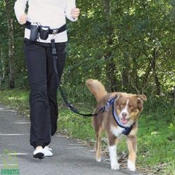 TRIXIE Pas biodrowy smycz zestaw psa do biegania joggingu z psem do 40kg L