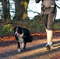 TRIXIE Pas biodrowy smycz zestaw psa do biegania joggingu z psem do 40kg L