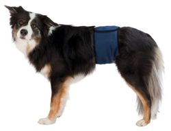 TRIXIE Pas majtki ochronne higieniczne dla psa samca nietrzymanie moczu L