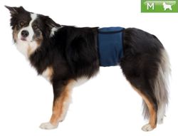 TRIXIE Pas majtki ochronne higieniczne dla psa samca nietrzymanie moczu M