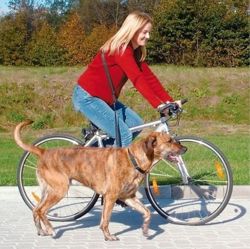 TRIXIE Smycz z amortyzatorem dla psa do biegania joggingu z psem na rower 