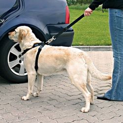 TRIXIE Szelki samochodowe uprząż pas bezpieczeństwa do auta dla psa M