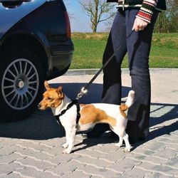 TRIXIE Szelki samochodowe uprząż pas bezpieczeństwa do auta dla psa XS