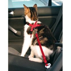 TRIXIE Szelki samochodowe uprząż pas bezpieczeństwa smycz do auta dla kota
