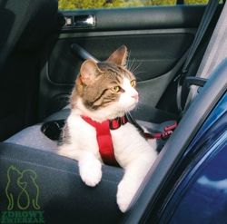 TRIXIE Szelki samochodowe uprząż pas bezpieczeństwa smycz do auta dla kota