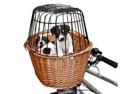 TRIXIE Transporter torba koszyk kosz na rower kierownicę psa kota wiklinowy