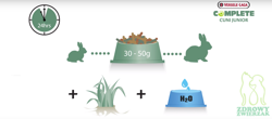 Versele Cuni Junior Complete karma pokarm jedzenie dla królika 1,75 kg 